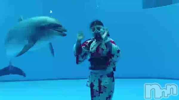 みさき(♪)の動画 ドルフィンパフォーマンス