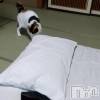 みさき(♪)の最新ブログ「お見送り」