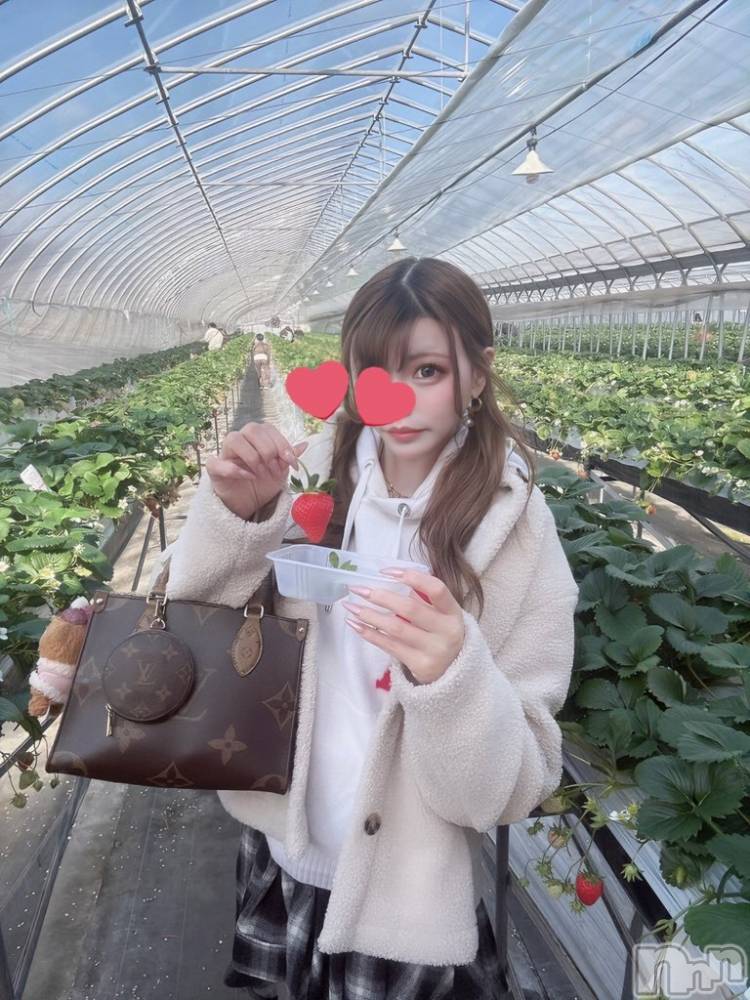 ܱХ顦CLUB FOUR LEAF(ե꡼) 128̥֥𝟙𝟝🍓̮⑅*