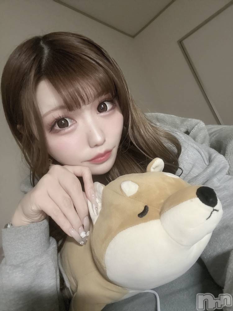 ܱХ顦CLUB FOUR LEAF(ե꡼) 31̥֥🐶