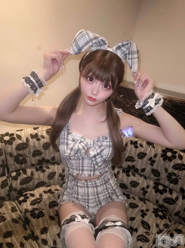 ܱХ顦CLUB FOUR LEAF(ե꡼) 78̥֥ᐡ ᴗ̤  ̫ ɞ̴̶̷ ᐡ♡