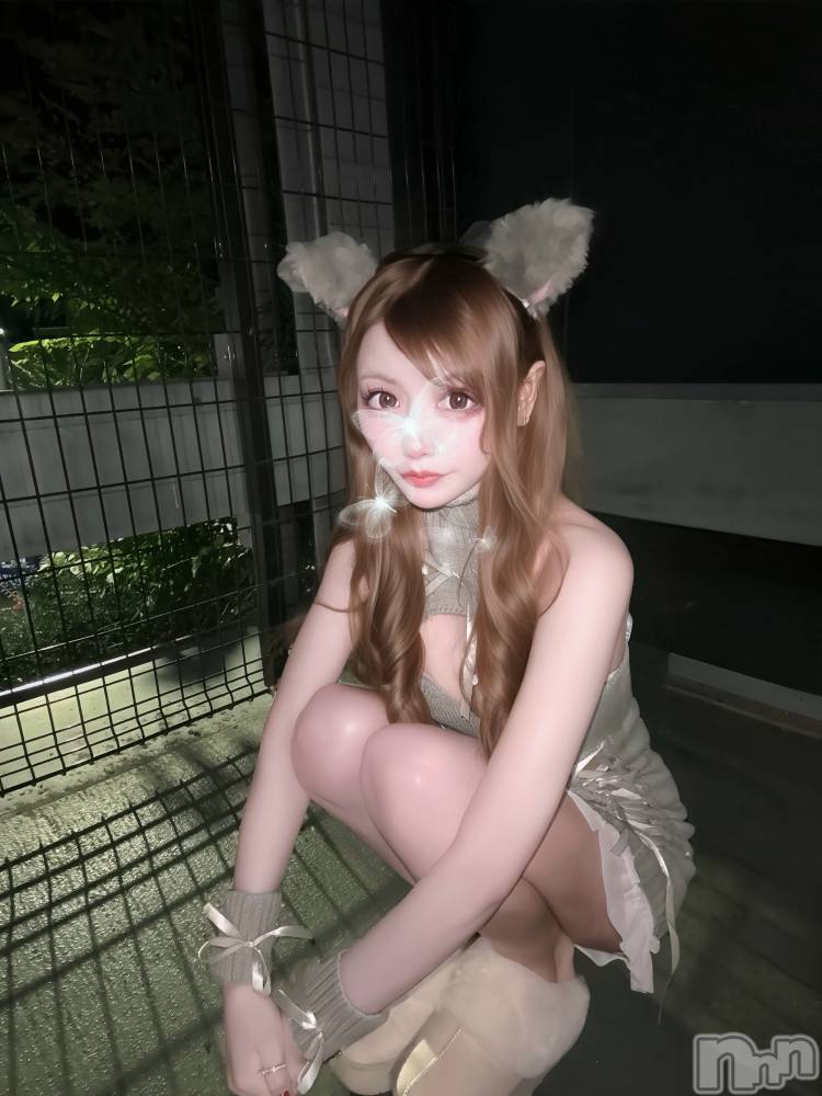 ܱХ顦CLUB FOUR LEAF(ե꡼) 113̥֥֤ˤ㤢