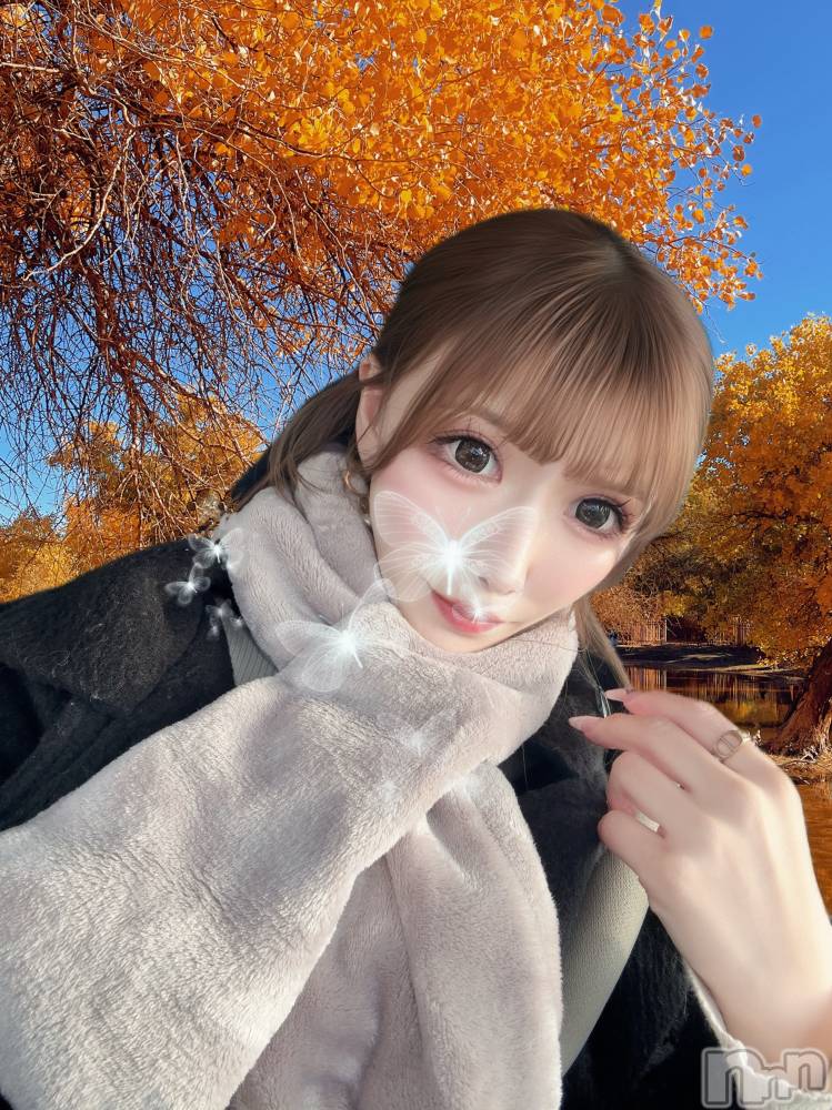 ܱХ顦CLUB FOUR LEAF(ե꡼) 125̥֥֤פפס