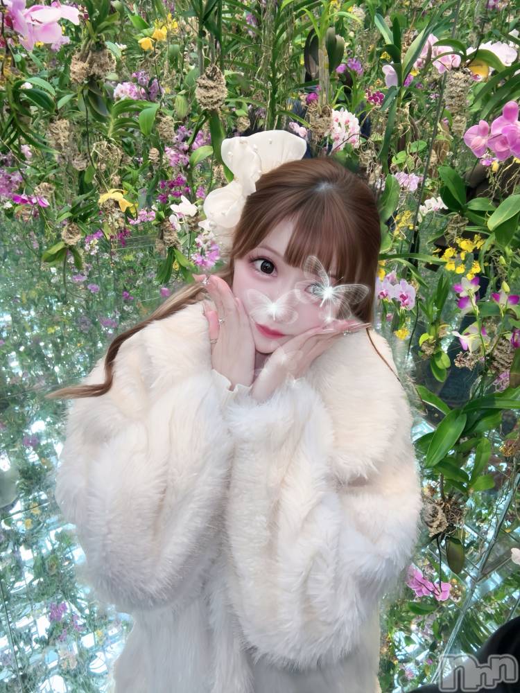 ���ܱ�������Х��顦�����CLUB FOUR LEAF(�ե����꡼��) ������12��13���̥�֥����ֵ�‼️��