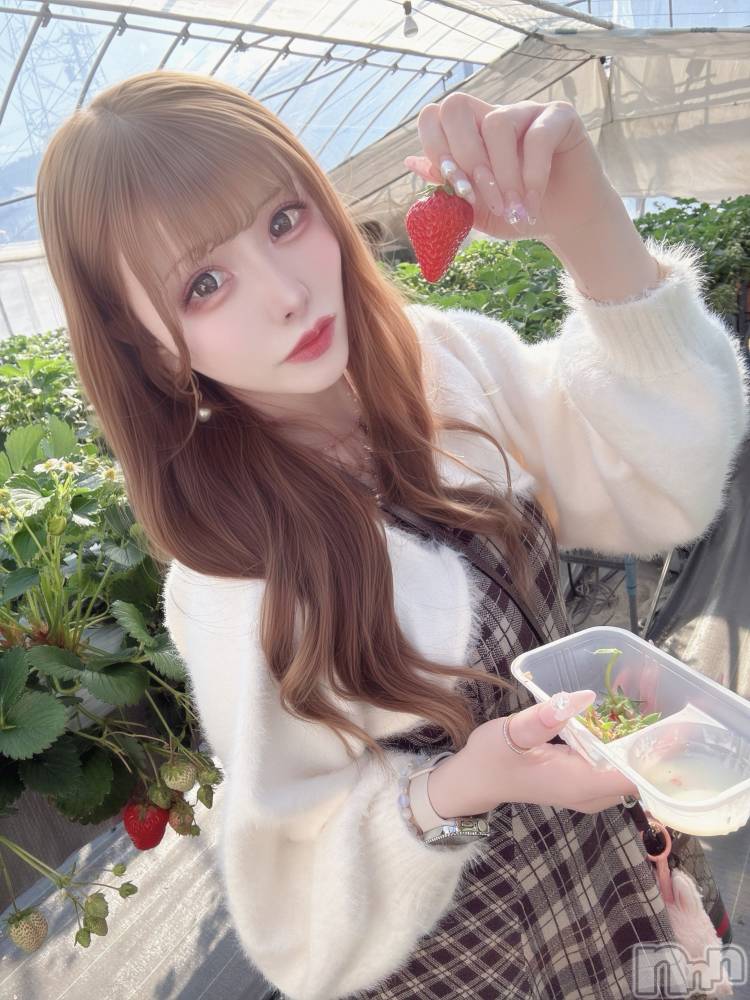 ���ܱ�������Х��顦�����CLUB FOUR LEAF(�ե����꡼��) ������4��10���̥�֥����֤��������