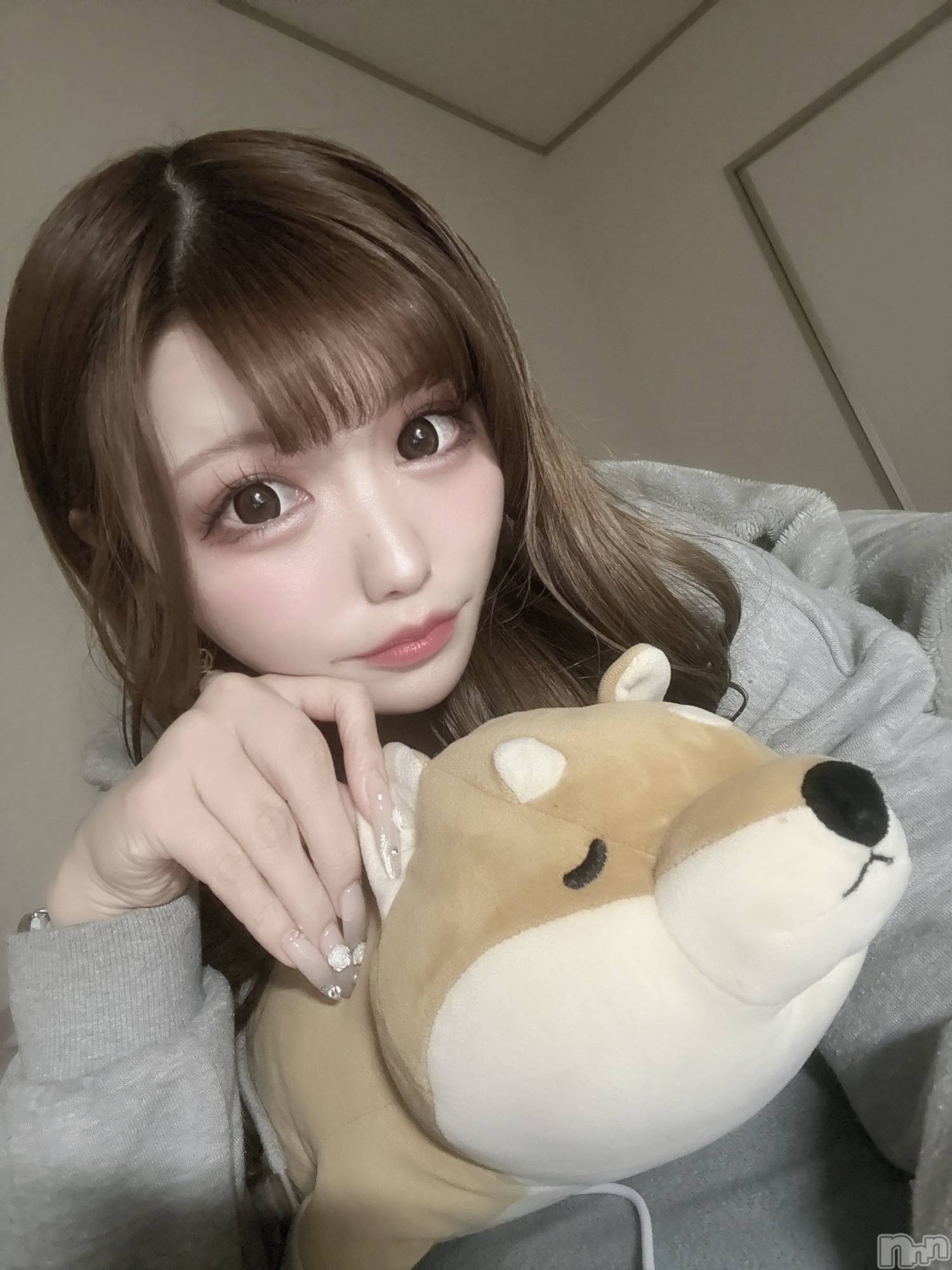 ܱХ顦CLUB FOUR LEAF(ե꡼) 2025ǯ31̥֥🐶