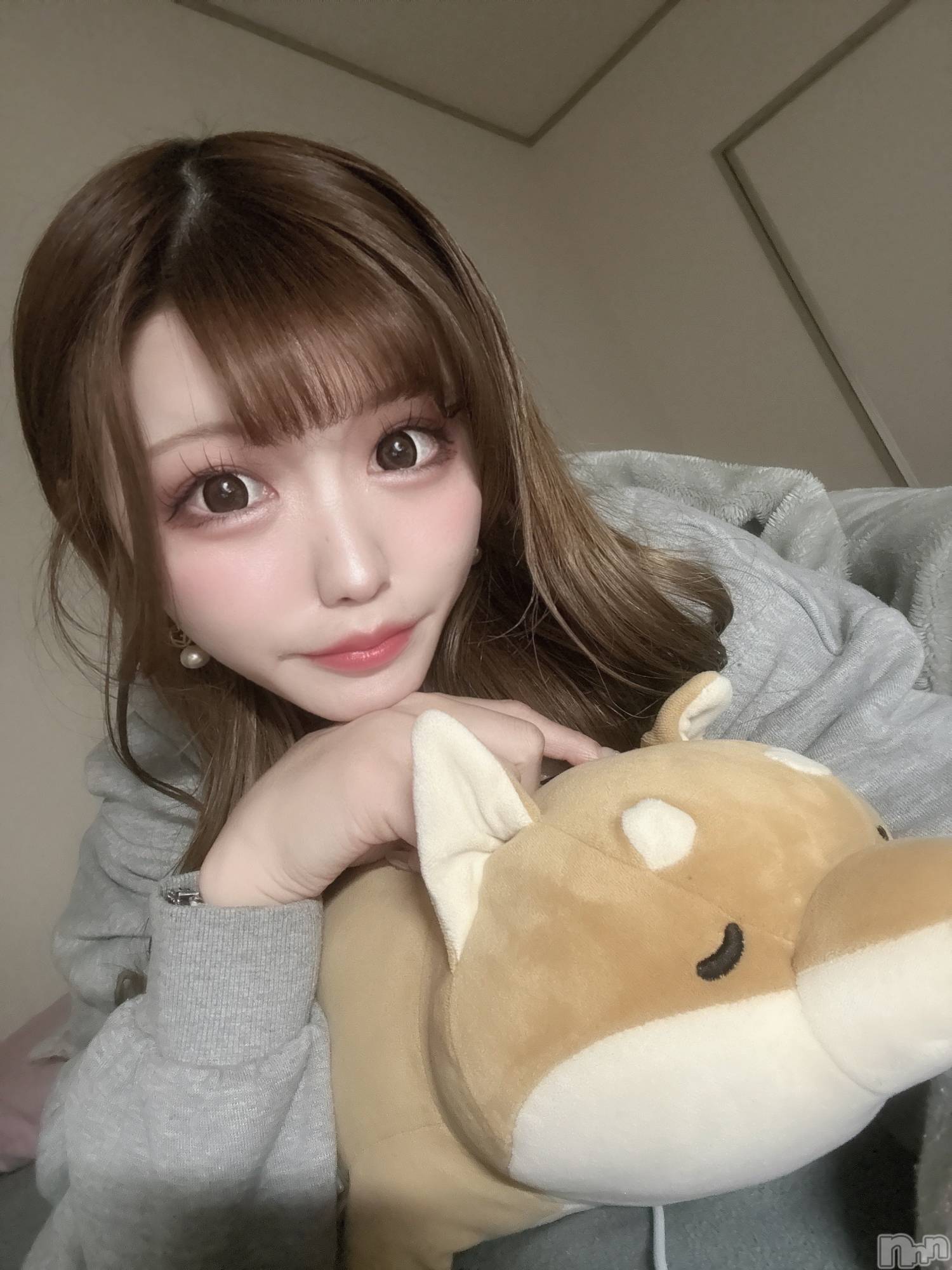 ܱХ顦CLUB FOUR LEAF(ե꡼) 2025ǯ34̥֥🐶🩵
