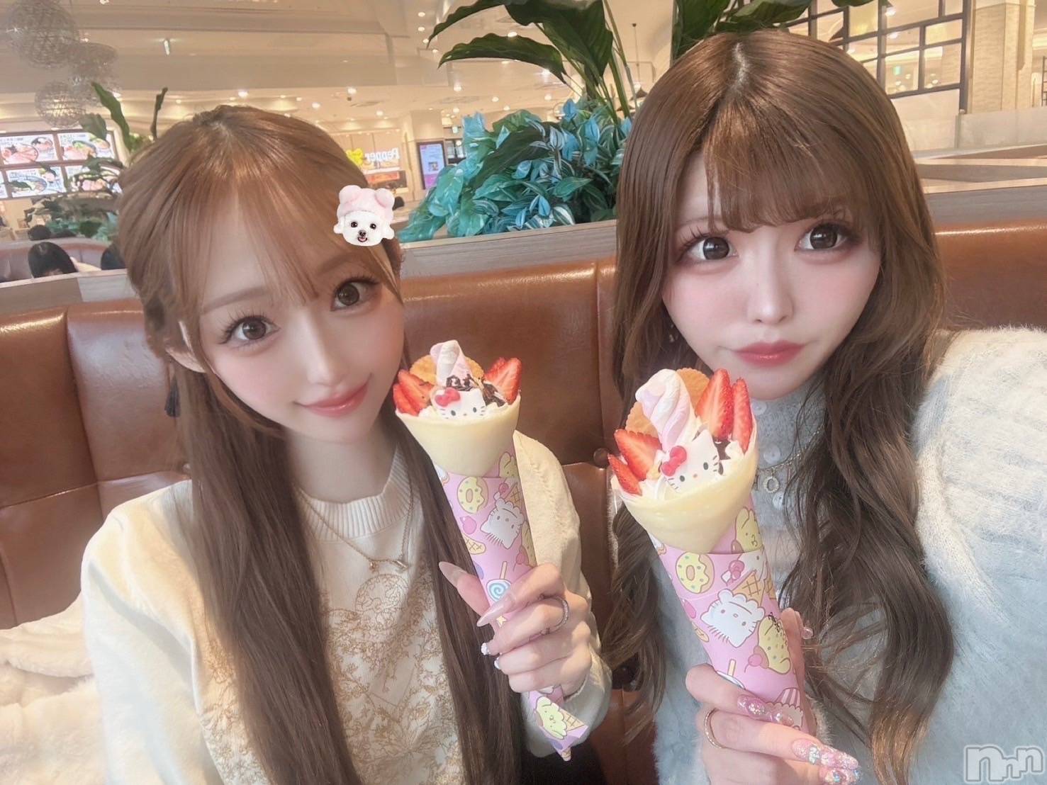 ܱХ顦CLUB FOUR LEAF(ե꡼) 2025ǯ45̥֥(=◦=🎀)