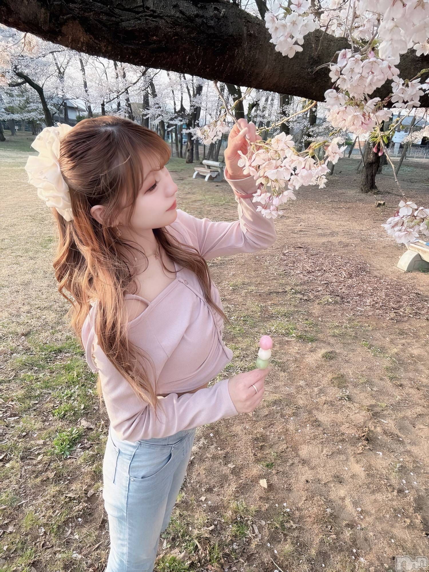 ܱХ顦CLUB FOUR LEAF(ե꡼) 2025ǯ422̥֥🧚🏻‍️🌸*