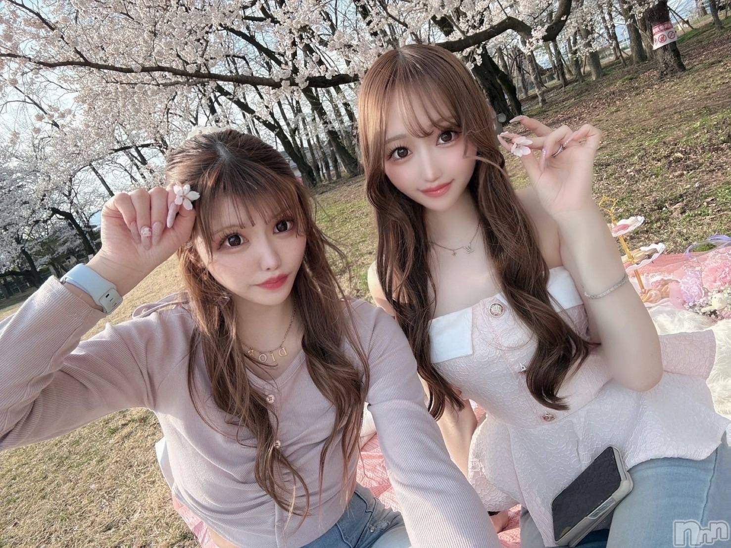ܱХ顦CLUB FOUR LEAF(ե꡼) 2025ǯ423̥֥🌸*