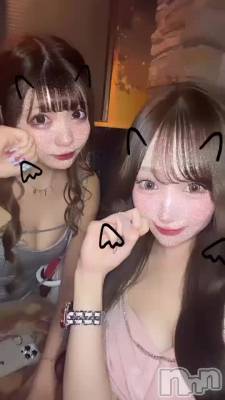 ໒꒰՞ ܸ. .ܸ՞꒱ა⋆⑅₊