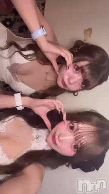🐰