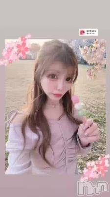 🌸🍡