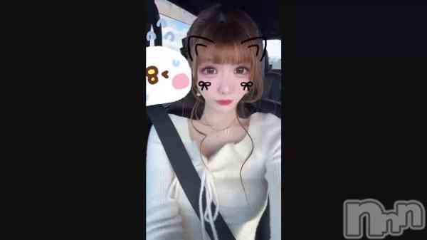 �֥ݥˡ��ơ���🎀��