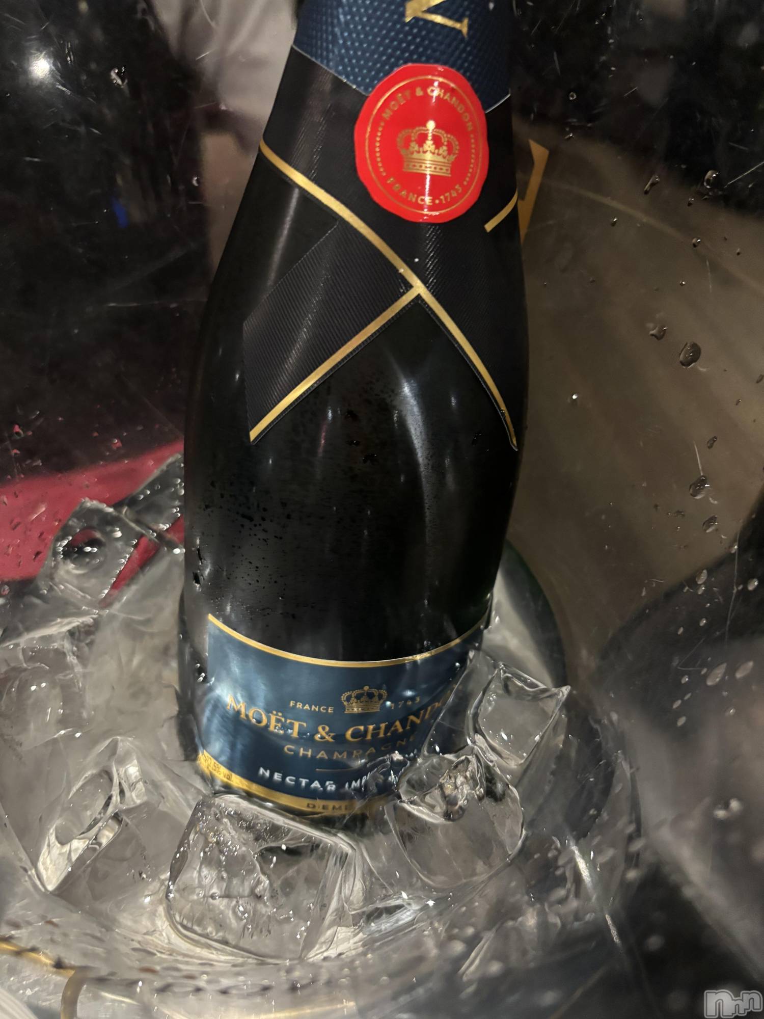 Х顦Armada(ޡ) 2025ǯ713̥֥🥂