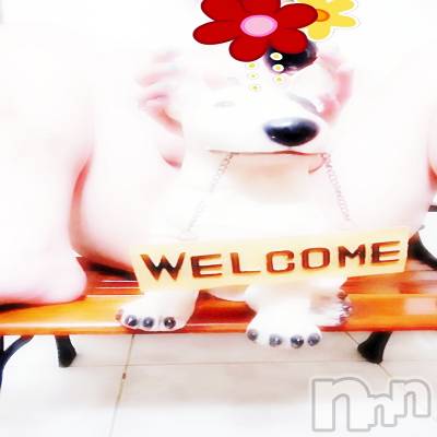 新潟人妻デリヘル 熟女の風俗 最終章(ジュクジョノフウゾクサイシュウショウ) ありあ(32)の9月7日写メブログ「置物で隠すのも妖艶よね？」