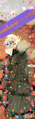 新潟人妻デリヘル 熟女の風俗 最終章(ジュクジョノフウゾクサイシュウショウ) ありあ(32)の1月25日写メブログ「楽しむってやっぱり良いですよね！バウンディ」