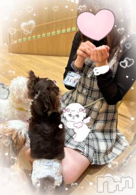 新潟手コキ Cherish Amulet(チェリッシュ アミュレット) みぃ★(20)の10月18日写メブログ「お久しぶりです🥹」