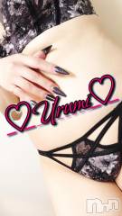 長岡デリヘル奥様特急 長岡店(オクサマトッキュウナガオカテン) うるみ(35)の6月21日写メブログ「お礼♡N様」