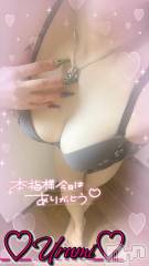 長岡デリヘル奥様特急 長岡店(オクサマトッキュウナガオカテン) うるみ(35)の8月11日写メブログ「お礼♡M様」