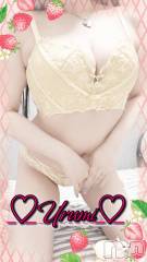 長岡デリヘル奥様特急 長岡店(オクサマトッキュウナガオカテン) うるみ(35)の5月21日写メブログ「お礼♡E様」