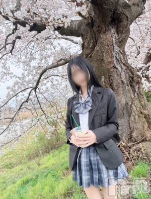 新潟デリヘル sleepy girl(スリーピーガール) ぴぴちゃん(18)の4月4日写メブログ「お知らせ🌸」