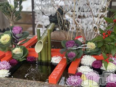 ����ȯ����ѥ˥��󥯥�֥���ѥ˥��󥯥�� �饤�� �Ĥ��ʤ�1��5���̥�֥����ֽ��⛩��