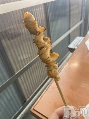 ����ȯ����ѥ˥��󥯥�֥���ѥ˥��󥯥�� �饤�� �Ĥ��ʤ�3��29���̥�֥������;Ƥ���🐚��