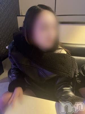 ʥå륺СLE SOLEIL( 쥤) (20)1211̥֥֤⤦äȤǡġ