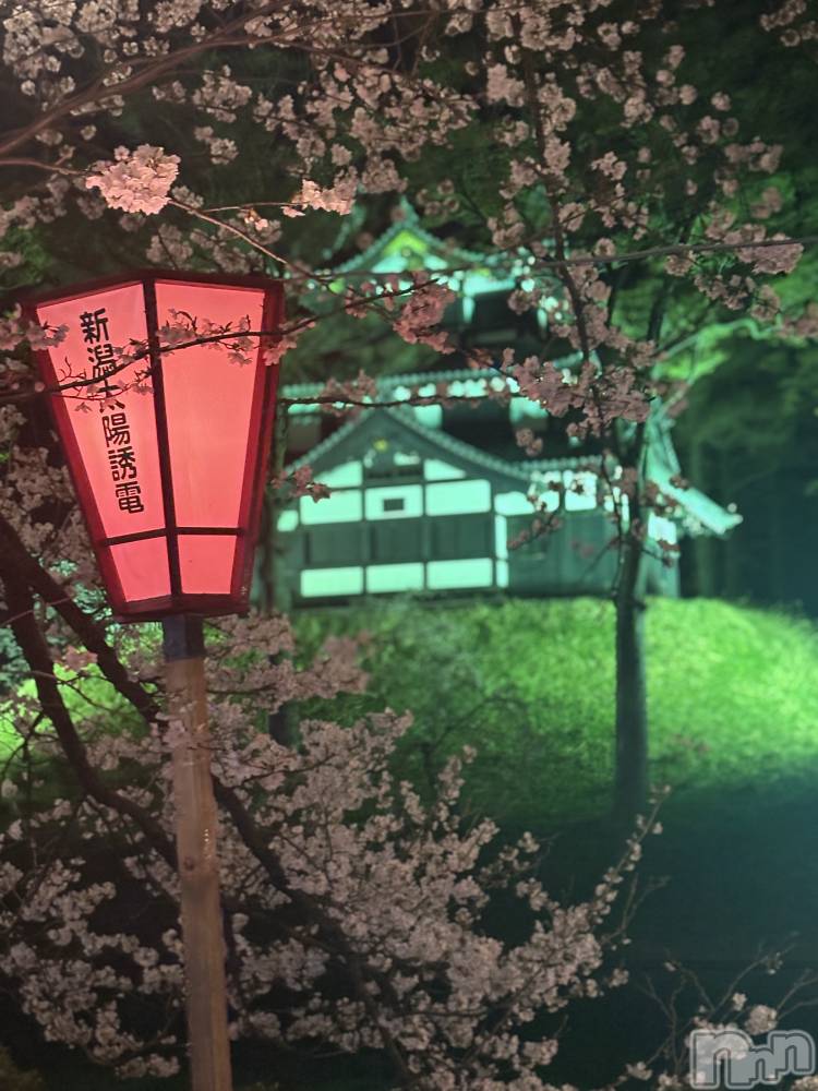 Ĺ�����ʥå��������륺�С����ʥå�����(���ʥå�������) �������4��7���̥�֥����ֺ�🌸��