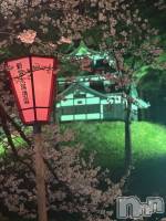 Ĺ�����ʥå��������륺�С����ʥå�����(���ʥå�������) ������(38)��4��7���̥�֥����ֺ�🌸��