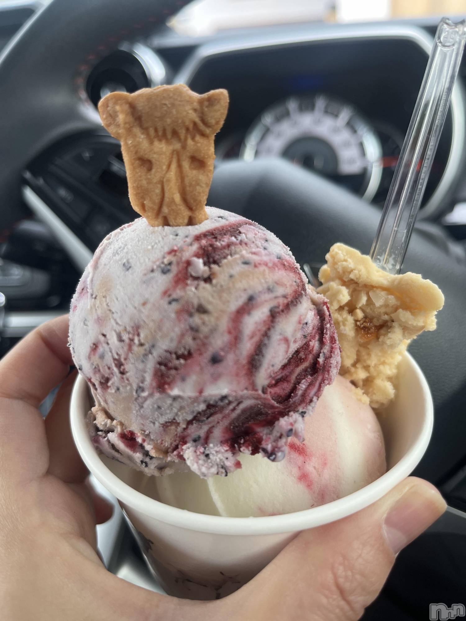 Ĺ�����ʥå��������륺�С����ʥå�����(���ʥå�������) ��2024ǯ11��18���̥�֥�����🌸���ΤϤ��ޤ�ϡ�🌸��