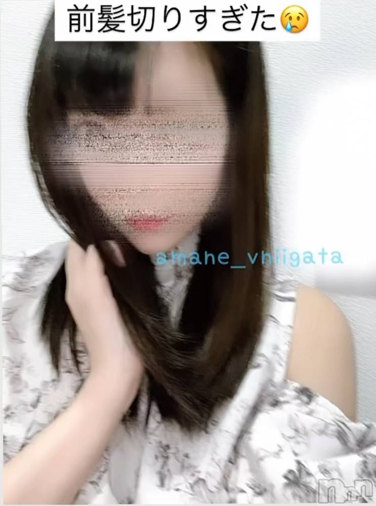 ĮХ顦V-niigata-(֥˥)  ŷ99ֲ̥֥Ƥɡ🫠