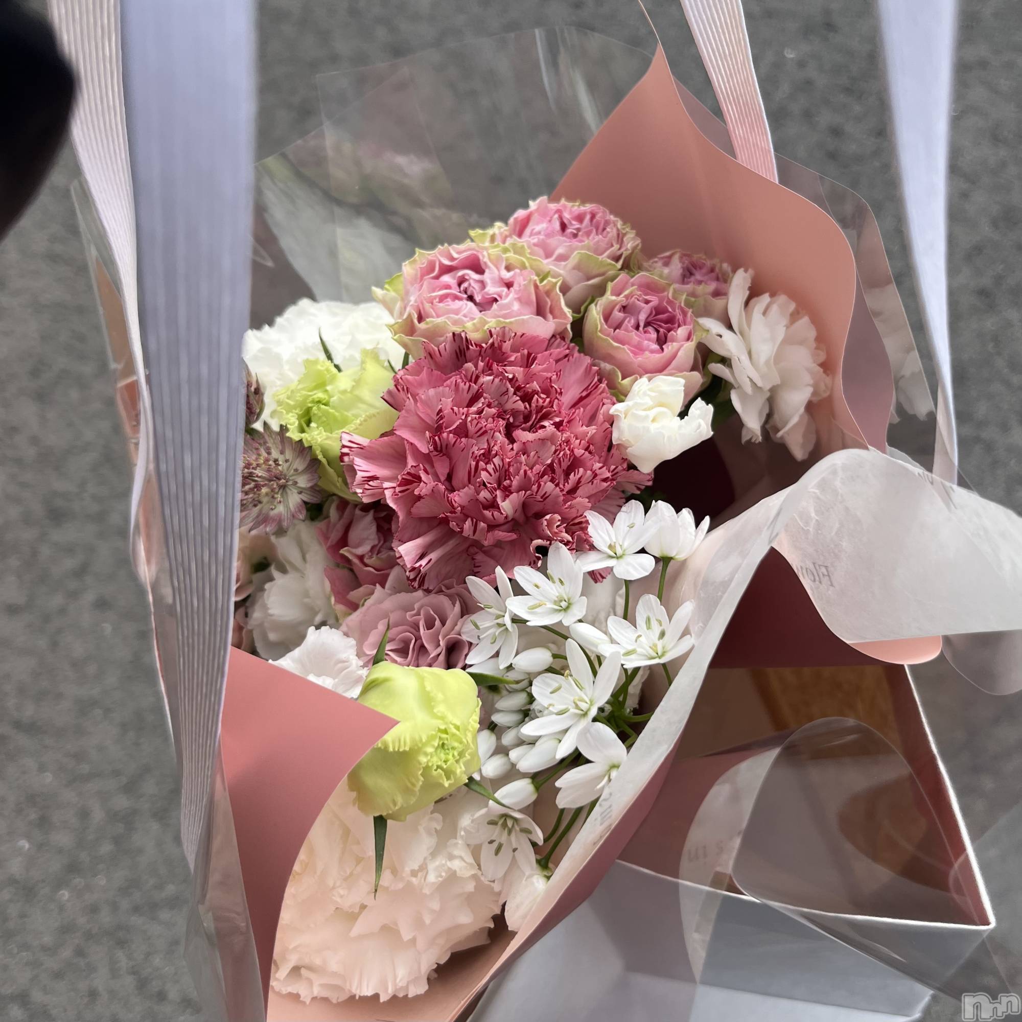 Х顦Diletto(ǥå) 2025ǯ36̥֥🎓💐