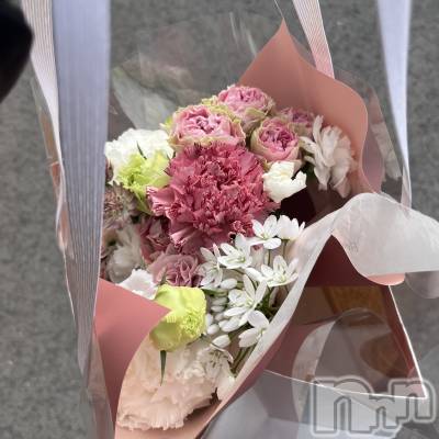 Х顦Diletto(ǥå) ߤ36̥֥🎓💐