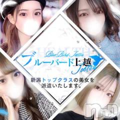 上越デリヘルBLUE BIRD上越店(ブルーバード上越店)の2月24日お店速報「ついにグランドオープン!!県内トップレベルの美女が勢ぞろいです♪」