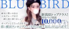 1日だけでも高収入。体験してわかる“稼げる理由”