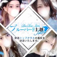 上越デリヘル BLUE BIRD上越店(ブルーバード上越店)の7月28日お店速報「ついにグランドオープン!!県内トップレベルの美女が勢ぞろいです♪」