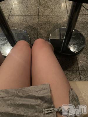 ܱХ顦֥ ץ ( ץ ޥĥ) ᤤʤ214̥֥214 2022ʬΥ֥