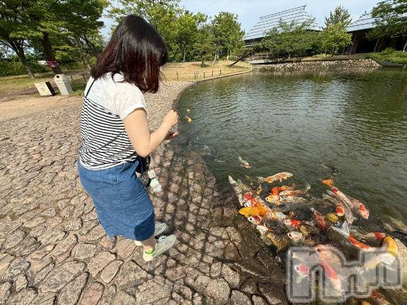 長岡デリヘル奥様特急 長岡店(オクサマトッキュウナガオカテン)りんの(21)の2026年6月10日写メブログ「恋～～してますか～✨️」