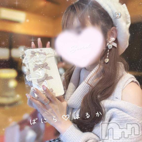 松本発デリヘルVANILLA(バニラ) はるか(23)の12月20日写メブログ「はるかにもくるかな(？)」