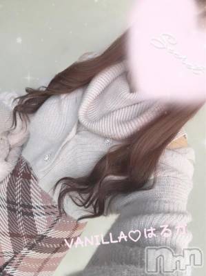 松本発デリヘル VANILLA(バニラ) はるか(23)の12月19日写メブログ「あったかもふもふ」