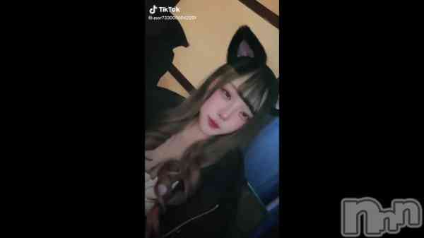 ��2��21�� 12��28ʬ��ư���