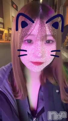 118 2026ʬΥ֥
