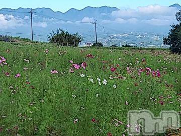 新潟人妻デリヘル熟女の風俗 最終章(ジュクジョノフウゾクサイシュウショウ) さつき(50)の9月17日写メブログ「おはようございます。」