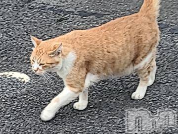 新潟人妻デリヘル熟女の風俗 最終章(ジュクジョノフウゾクサイシュウショウ) さつき(50)の9月21日写メブログ「おはようございます。❤」