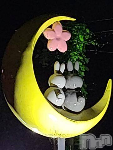新潟人妻デリヘル熟女の風俗 最終章(ジュクジョノフウゾクサイシュウショウ) さつき(50)の9月27日写メブログ「昨日のお礼日記   さくらとうさぎ」