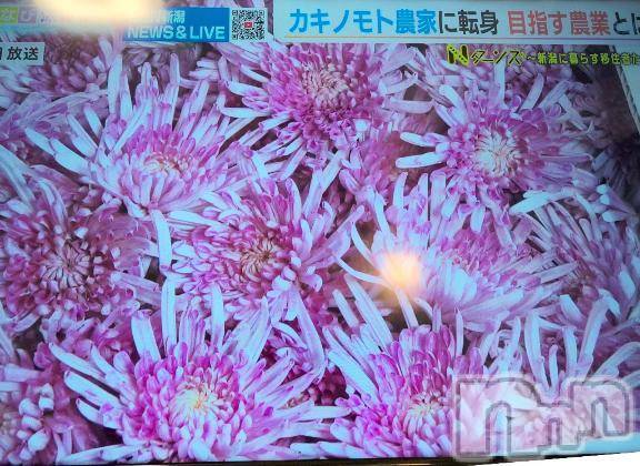 新潟人妻デリヘル熟女の風俗 最終章(ジュクジョノフウゾクサイシュウショウ) さつき(50)の2月9日写メブログ「先日こんな話をお客様としました。😅♥️」