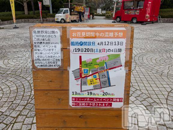 新潟人妻デリヘル熟女の風俗 最終章(ジュクジョノフウゾクサイシュウショウ) さつき(50)の4月8日写メブログ「広い公園にも行って見ました。」
