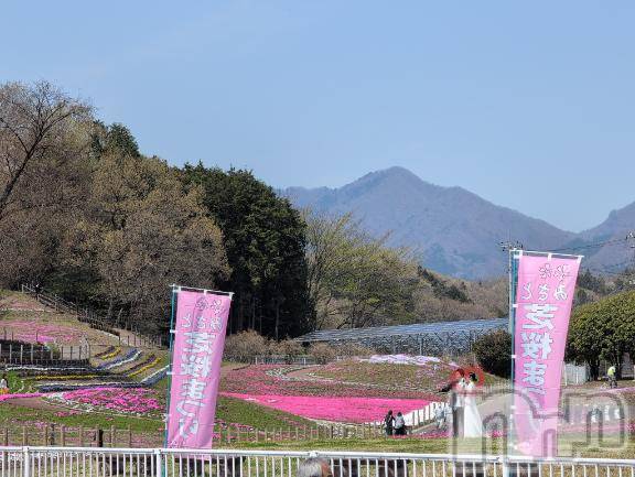 新潟人妻デリヘル熟女の風俗 最終章(ジュクジョノフウゾクサイシュウショウ) さつき(50)の4月17日写メブログ「いい天気の中、すてきな写真撮れたのかな❤️」